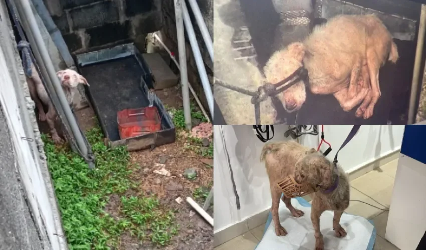 Foto: Policía Nacional. 