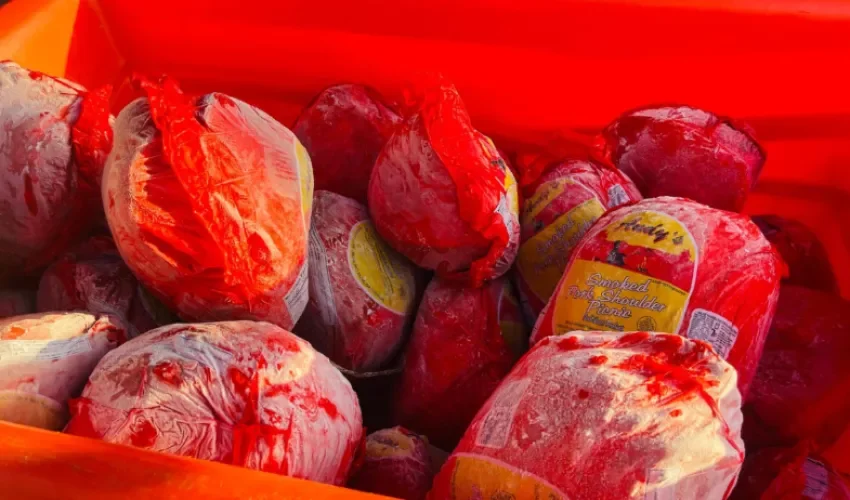 Foto: Diómedes Sánchez. 