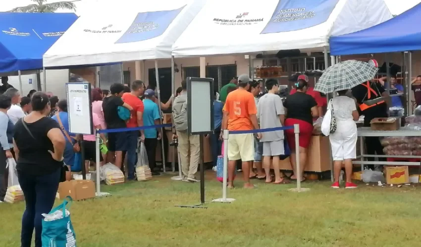 Foto: Thays Domínguez. 