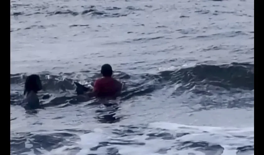 Foto: Diómedes Sánchez. 