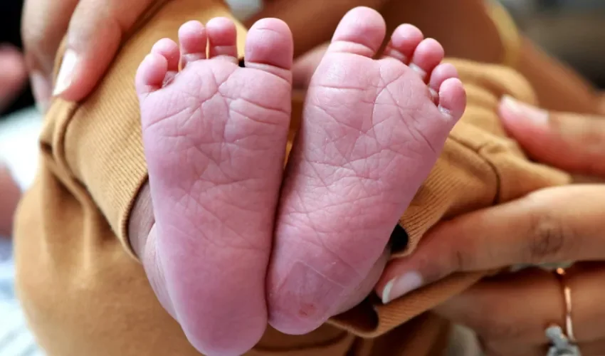 Foto: Pexels/Legacy Shots by Sharan Sathya.