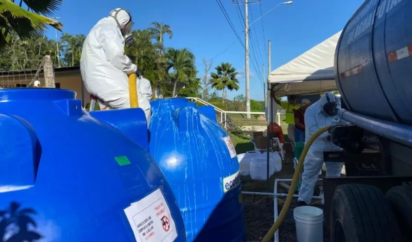 Foto: Thays Domínguez.