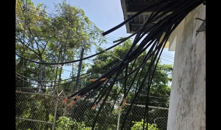 Foto: Diómedes Sánchez. 