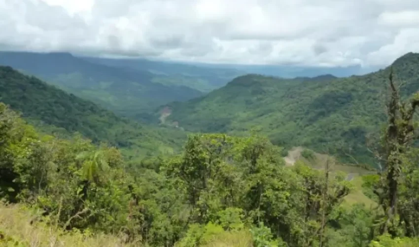 Foto redes sociales. 