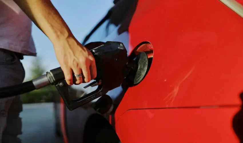 Foto:  Julia Avamotive/Pexels