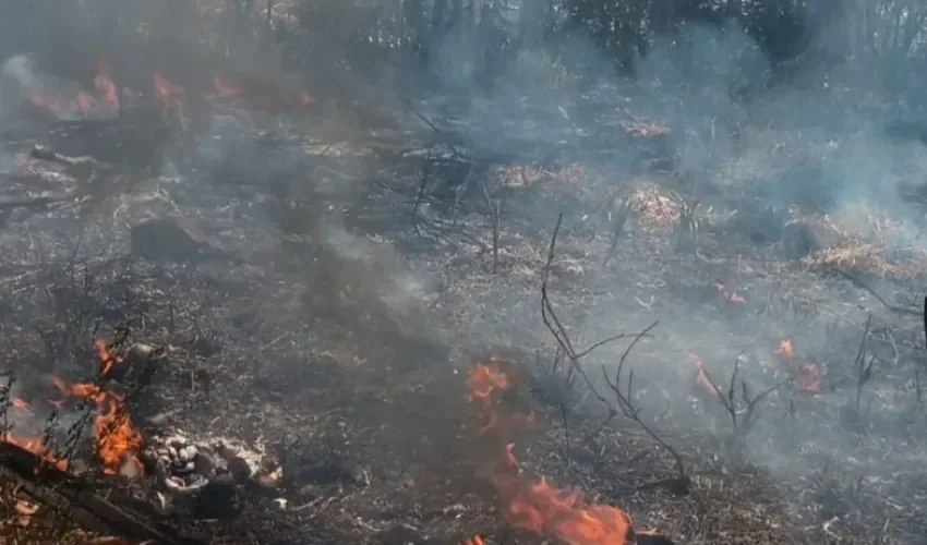 Foto: Melquiades Vásquez. 