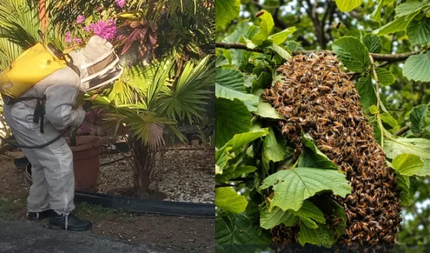 Fotos: Benemérito Cuerpo de Bomberos de la República de Panamá.