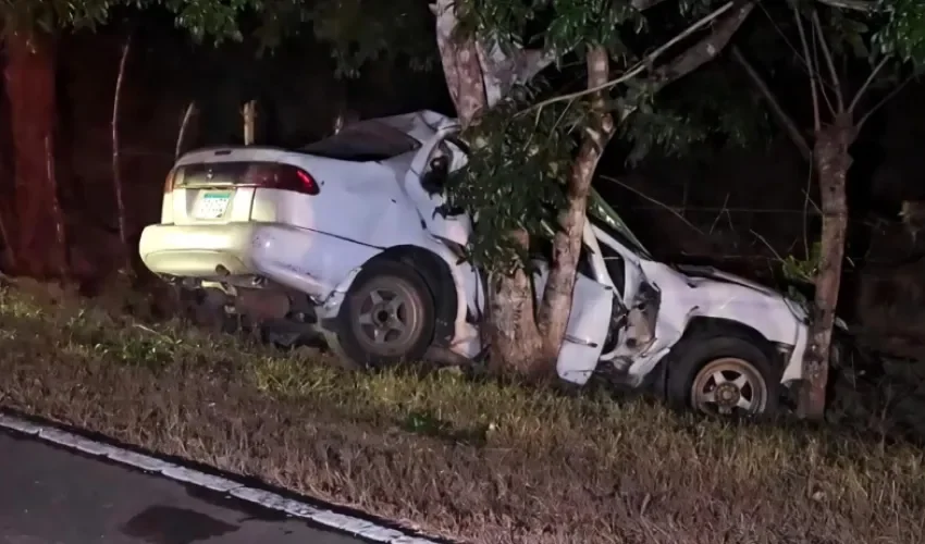 Foto: Thays Domínguez. 