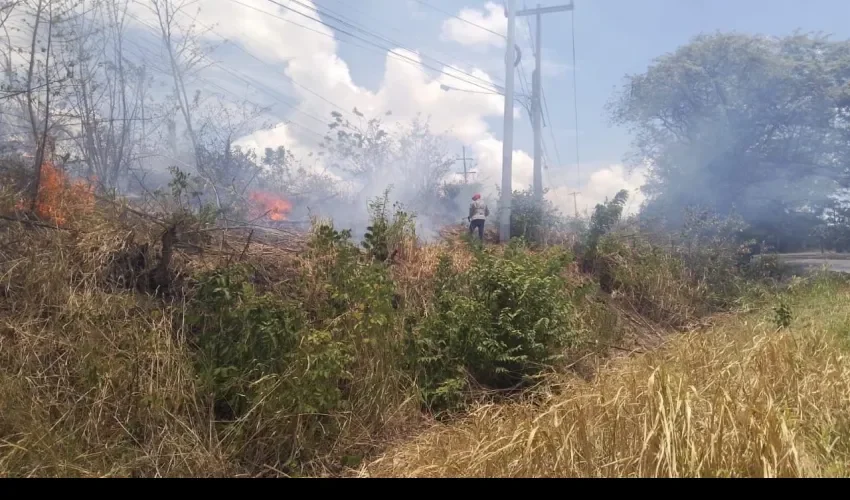 Foto: Benemérito Cuerpo de Bomberos.