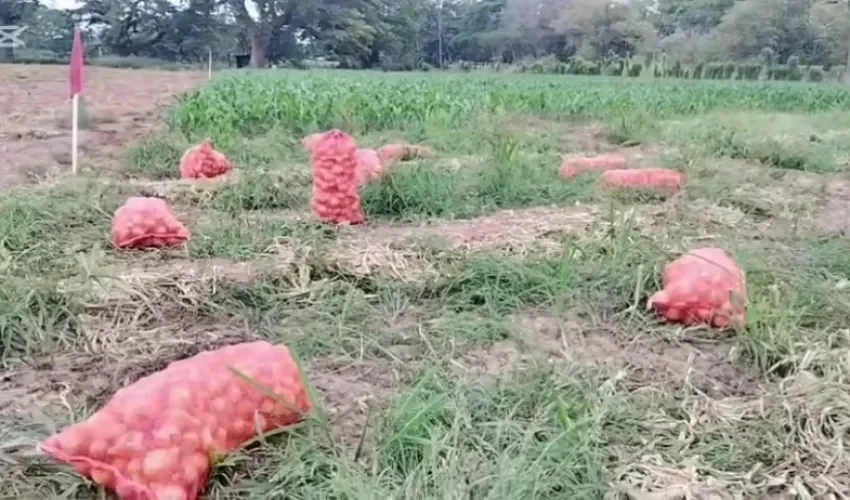 Foto: Eric Montenegro. 