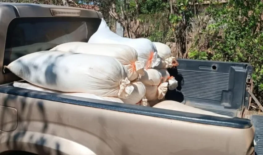 Foto: Thays Domínguez.