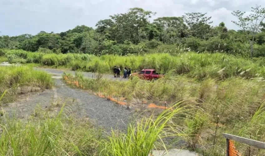 Foto: Diómedes Sánchez.