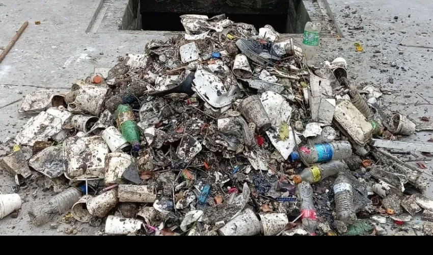 Foto: Diómedes Sánchez.