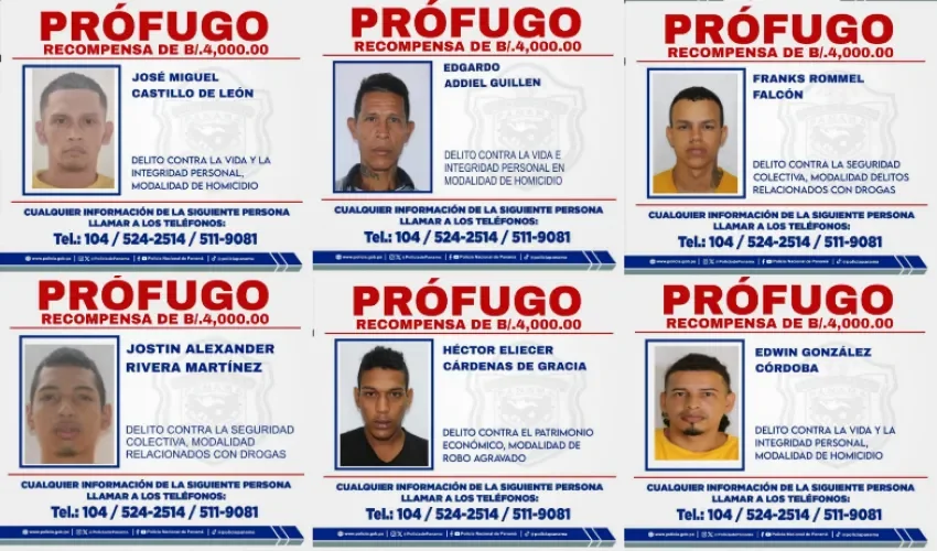 Fotos: PN.