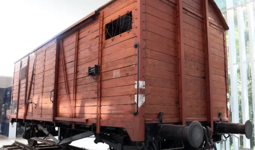 Fotografía que muestra un vagón alemán de la época nazi en el centro de la nueva exhibición en el Museo de la Libertad y los Derecho Humanos de Panamá, como un símbolo del dolor que causó el Holocausto en la historia de la humanidad este martes, en Ciudad de Panamá (Panamá). EFE/ Carlos Lemos