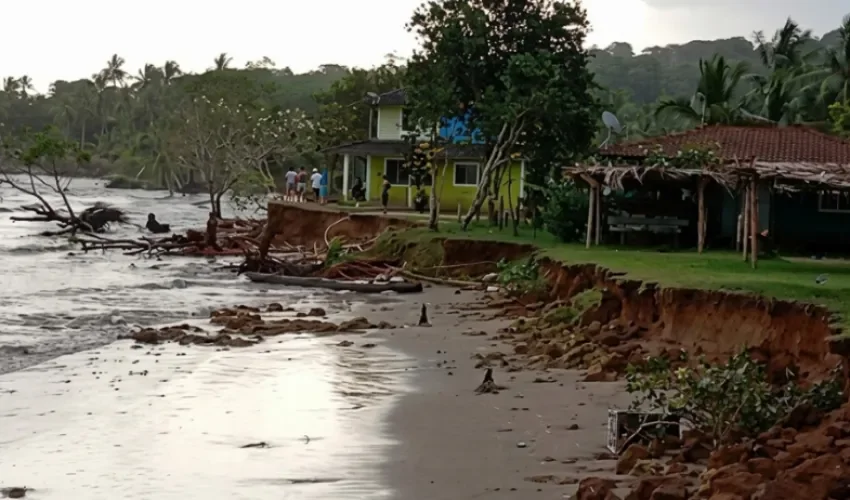 Foto captura. 