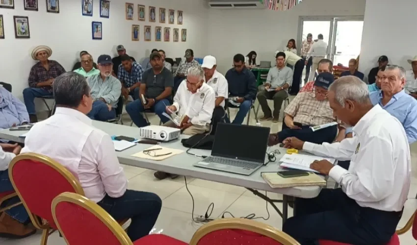 Foto: Melquiades Vásquez. 