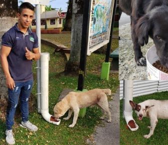 Un héroe de animales callejeros en medio de la cuarentena 