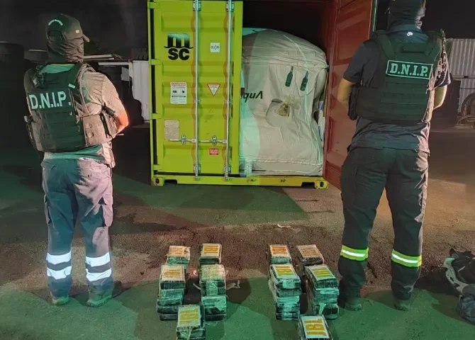  Incautan 45 paquetes de droga en un contenedor que transportaba aceite de aguacate 