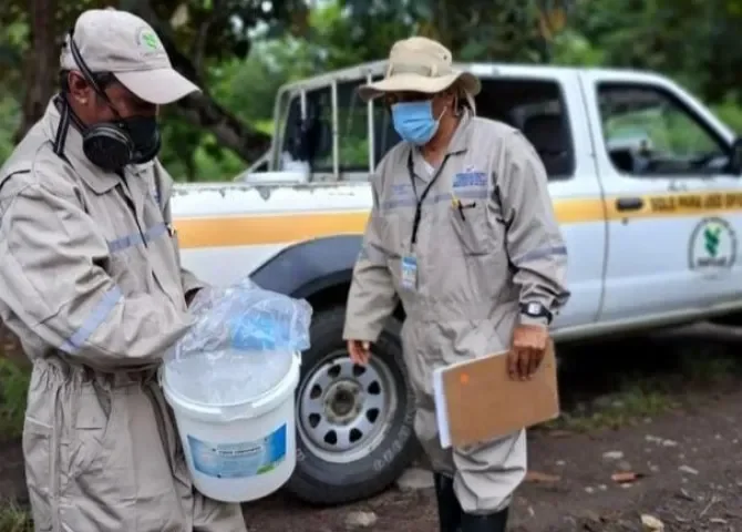  Confirman el primer caso de Hantavirus en Veraguas 