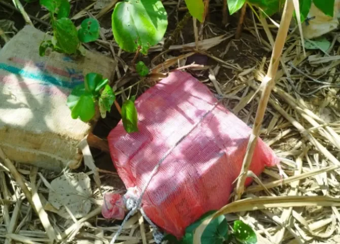  ¡Que pocotón! Descubren 'caleto' en la Costa Arriba de Colón 