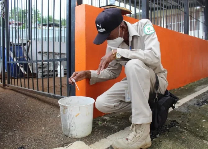  Panamá suma 46 defunciones por dengue; población debe eliminar los criaderos de mosquitos 