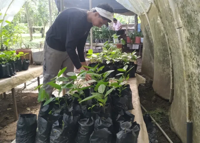  ¡Trabajando la tierra y produciendo! Centro Educativo Monte Oscuro desarrolla su visión en el sector agro 