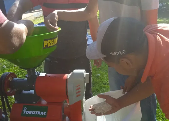  ¡Bien faja'os! Estudiantes del IPT de Capira se destacan pilando arroz 