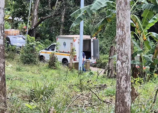  ¡Tragedia en Las Minas! Hombre pierde la vida en accidente mientras realizaba trabajos de tala 