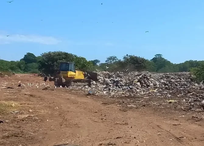  Lanzan campaña de recolección de arbolitos navideños para prevenir incendios en el vertedero de Chitré 