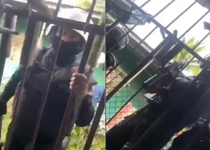  Fotos capturas. 