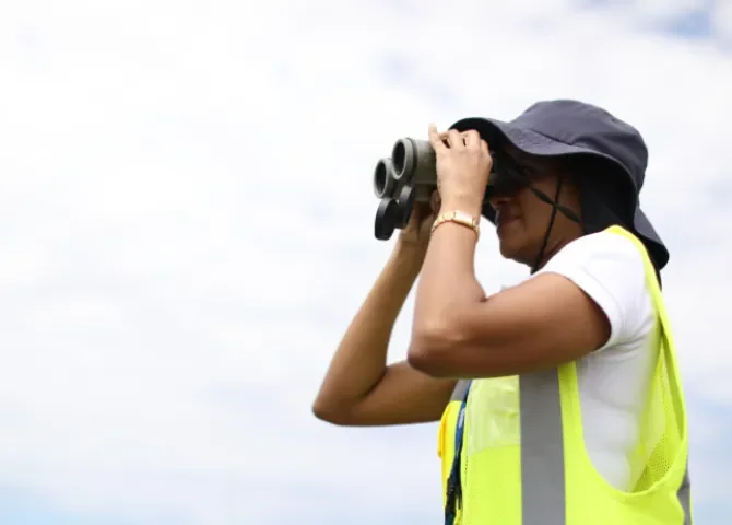  Aeropuerto Internacional de Tocumen refuerza medidas de seguridad aérea para prevenir impactos con aves migratorias 
