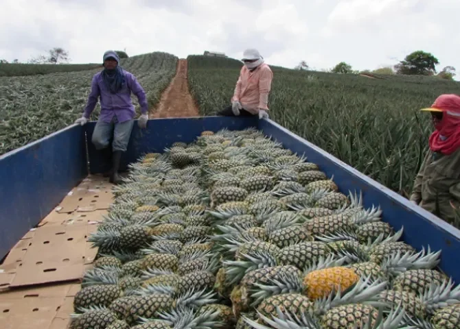  Alcaldía de La Chorrera solicita a Secretaría del Ferrocarril incluir estación de carga para productos agricolas 