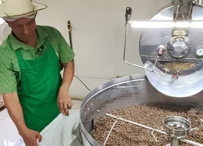  El café robusta panameño florece con sostenibilidad, empoderamiento y desarrollo local 