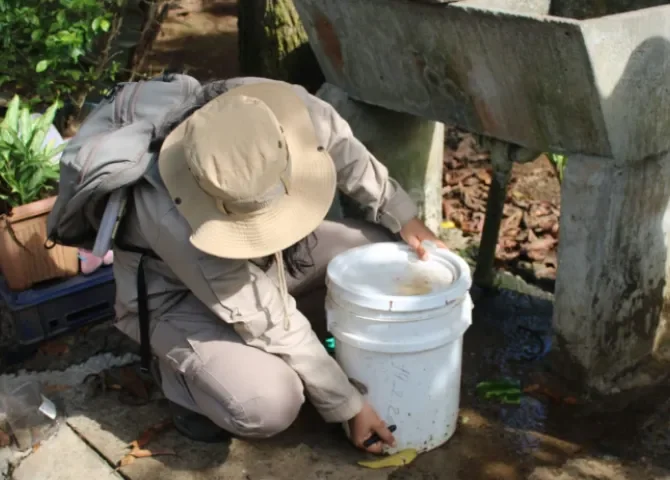   La influenza y el dengue continúan encabezando las principales preocupaciones sanitarias del país 