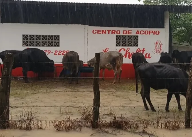  Foto: Melquiades Vásquez.  