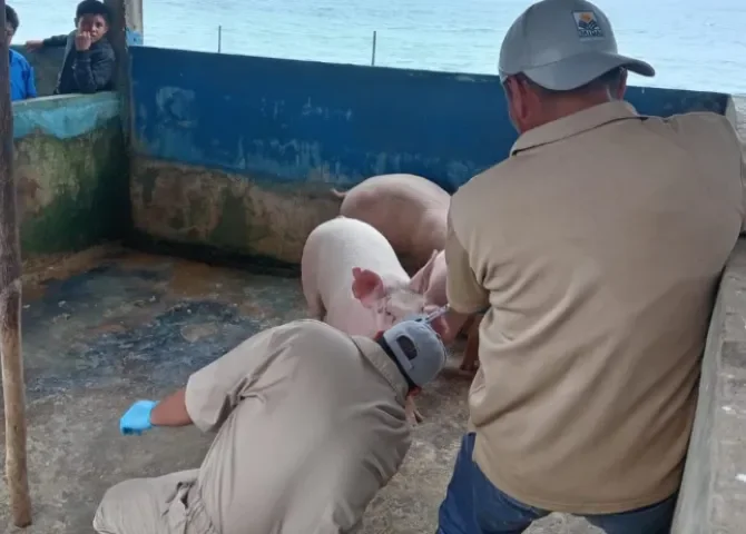  MIDA intensifica vigilancia epidemiológica en la comarca Guna Yala 