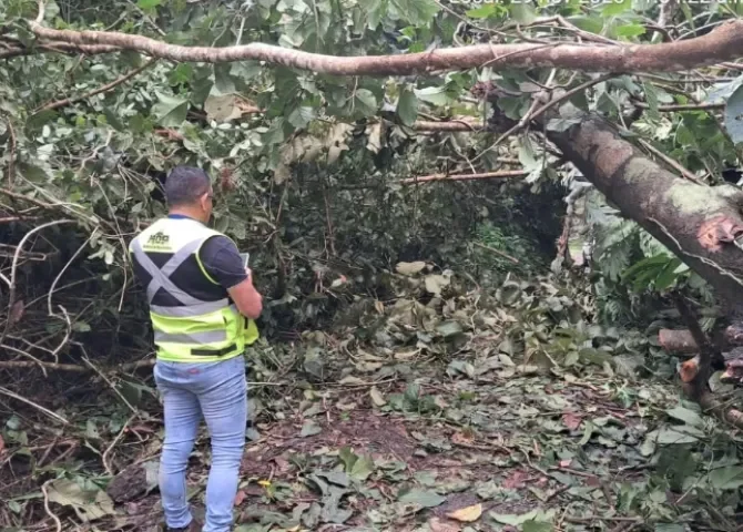  Reabren vía afectada por deslizamiento en Colón 
