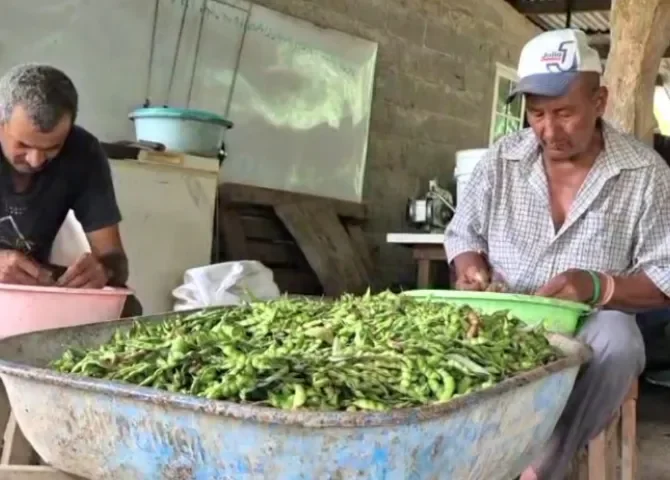  Foto: Thays Domínguez. 
