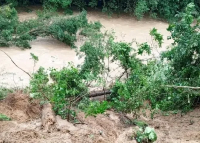  Foto: Diómedes Sánchez.  