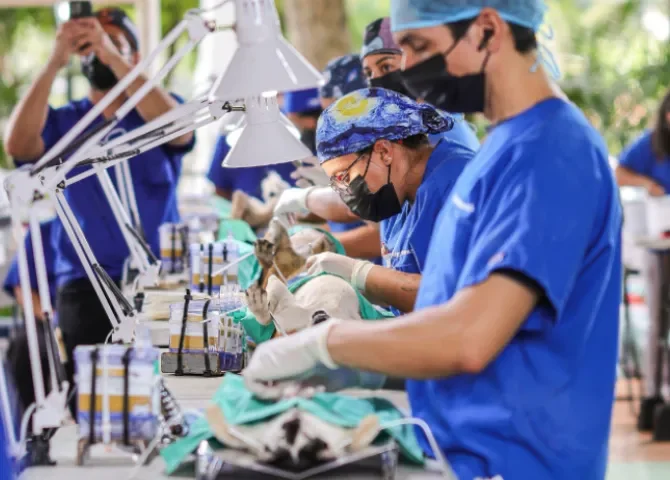  Foto: Presidencia de la República. 