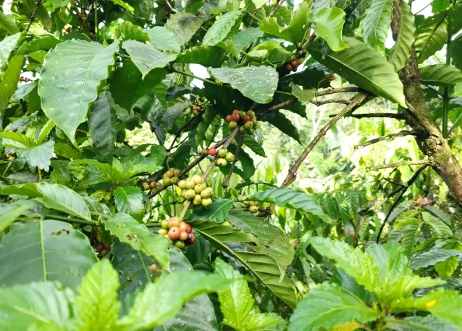  Foto: Eric Montenegro.  