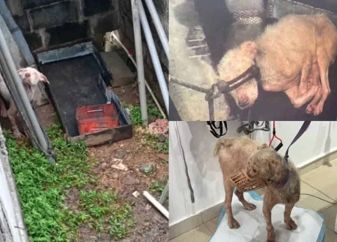  Foto: Policía Nacional.  