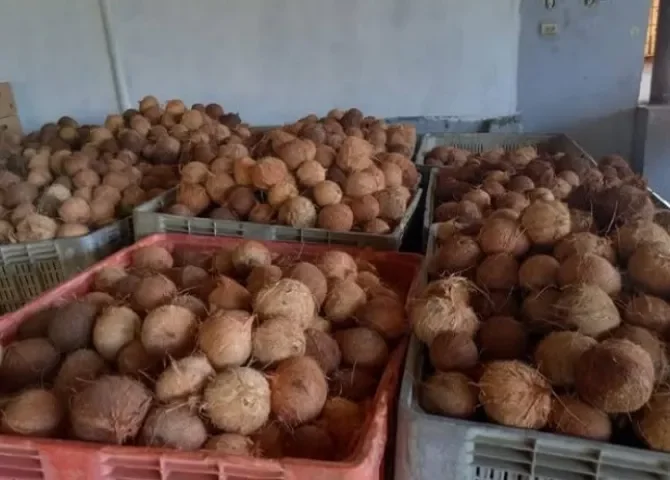  Foto: Diómedes Sánchez.  