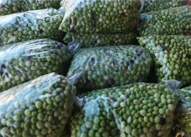  Foto: Melquiades Vásquez.  