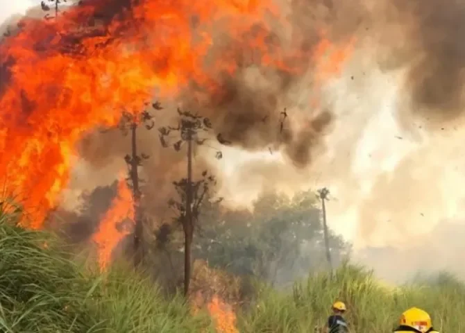  Foto: Bomberos. 