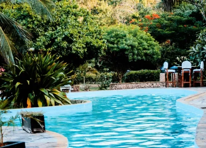   Foto: Mwabonje Ringa/Pexels 