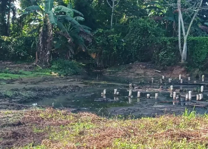   Foto: Melquiades Vásquez.   