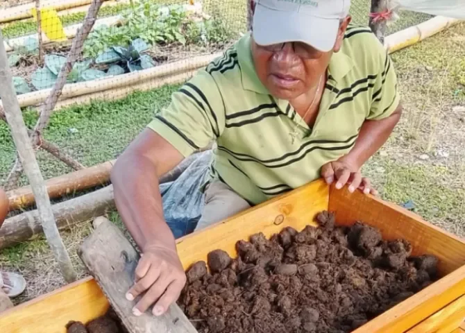  Capacitan a productores indígenas de Guna Yala en producir abono con lombrices 