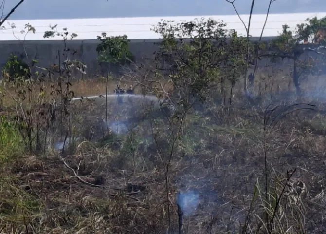  Foto: Eric Montenegro.  